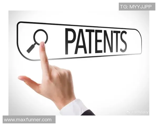 赵芳独家分享网球心得与技巧助你提升球技的全面指南